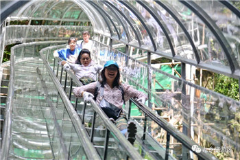 云南省宜良縣九鄉風景區(qū)玻璃滑道